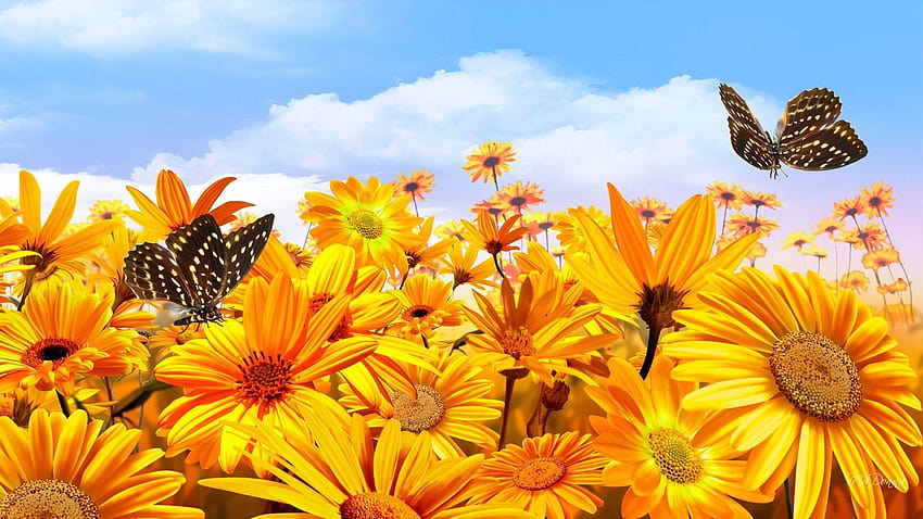 Sunflowers and Butterflies on Dog, flowers and butterfly aesthetic HD wallpaper
