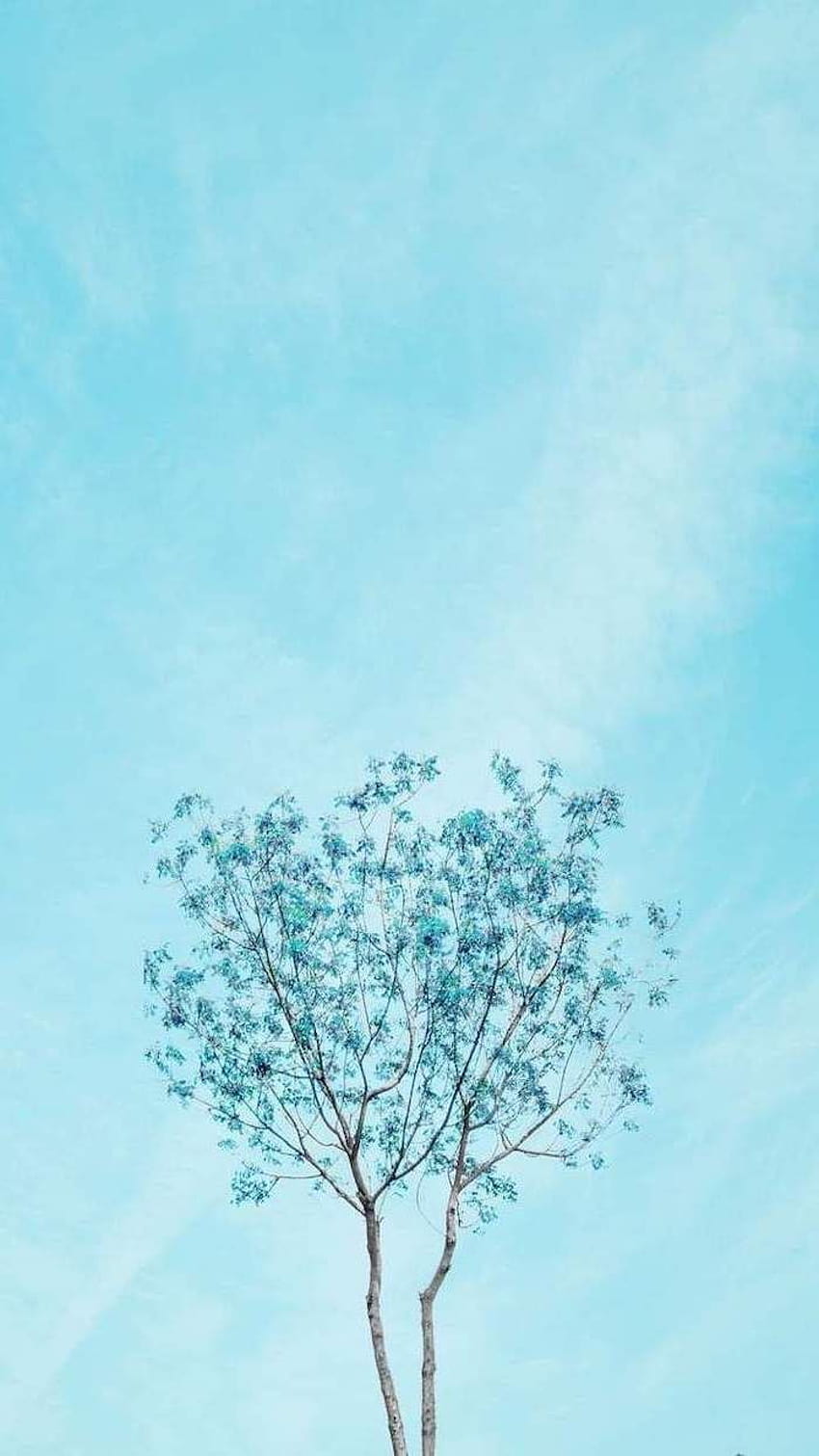 Minimalist Spring posted by Michelle Johnson, spring minimalist phone HD phone wallpaper
