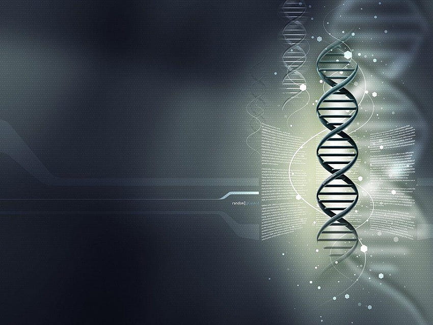 DNA Genes Backgrounds For PowerPoint, dna background HD wallpaper