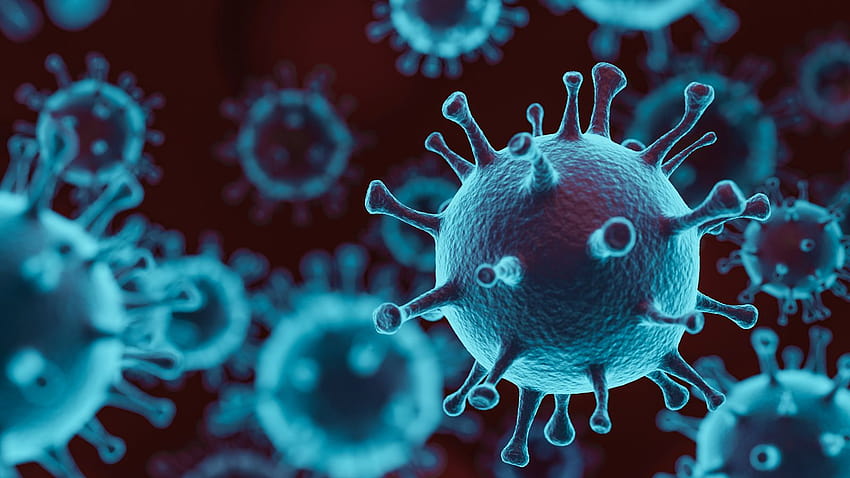 Lebensmittelsicherheit und die Coronavirus-Krankheit 2019, covid19 HD-Hintergrundbild
