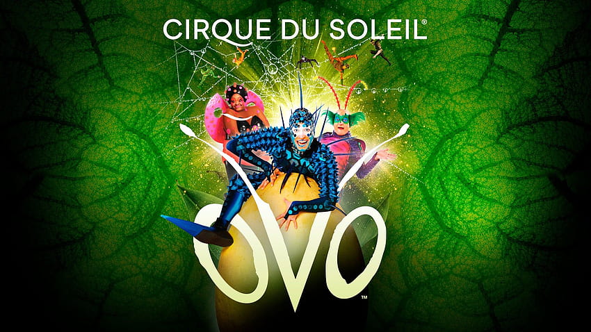 Cirque du Soleil: OVO-Tickets HD-Hintergrundbild