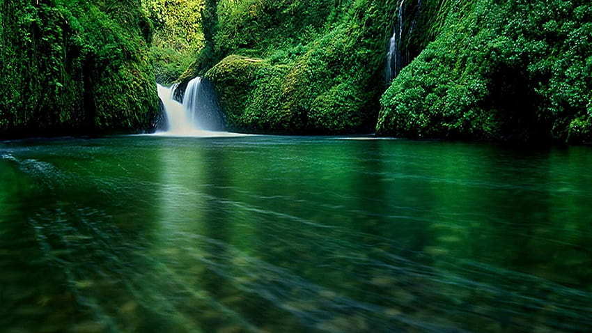 Waterfall Forest, waterfall paradise HD wallpaper