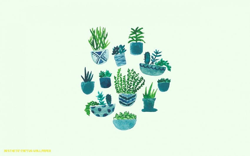 Cute Plant Computer – Cave – aesthetic cactus, plant aesthetic HD wallpaper