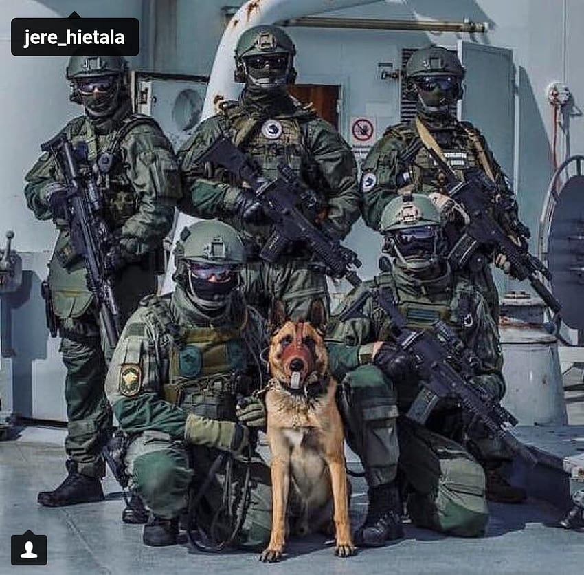 Pin em cães militares/policiais e seus humanos, cachorro k9 papel de parede HD