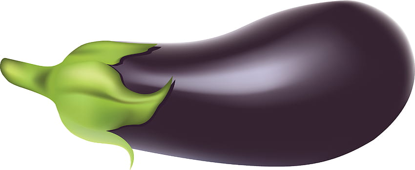 Best 6 Eggplant Backgrounds on Hip, brinjal HD wallpaper