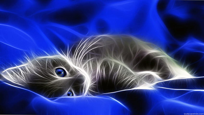 negative cat effect blue bed full HD wallpaper
