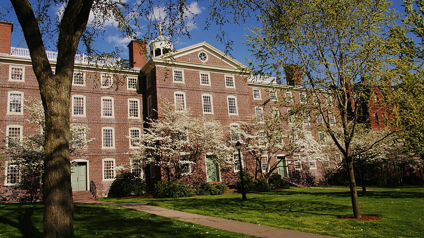 Brown University Students Vote For Reparations to Give Preferential Admissions to Slave Descendants HD wallpaper
