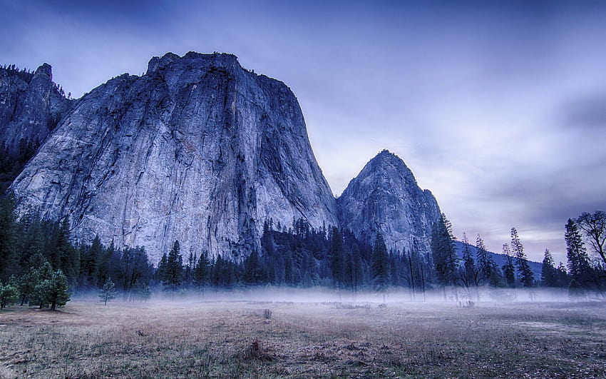 Yosemite National Park, USA, trees, mountains, fog, morning 1920x1200 , yosemite valley morning fog HD wallpaper