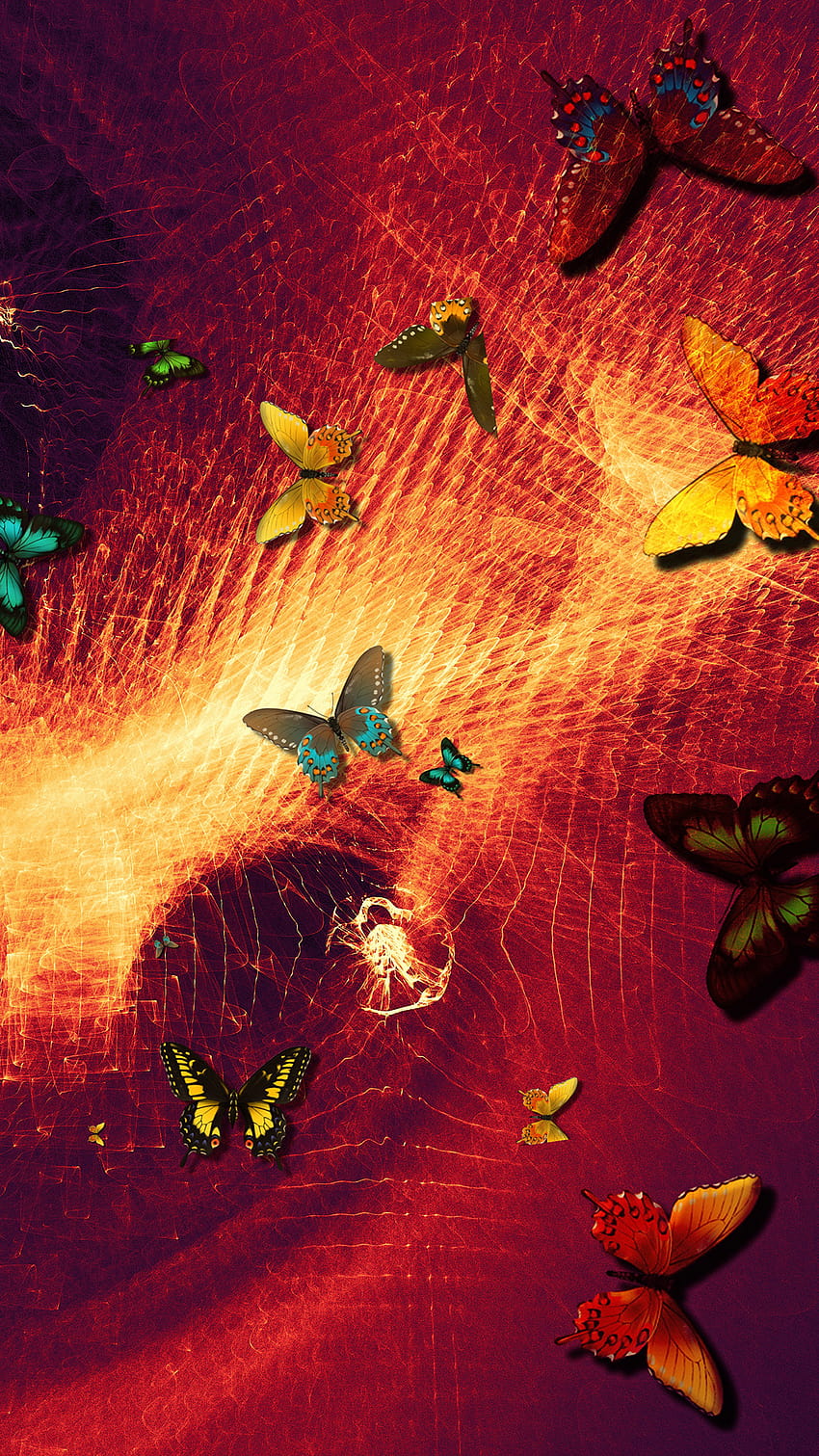 Schmetterlinge: Kunst für iPhone 11, Pro Max, X, 8, 7, 6, Schmetterlingskunst HD-Handy-Hintergrundbild