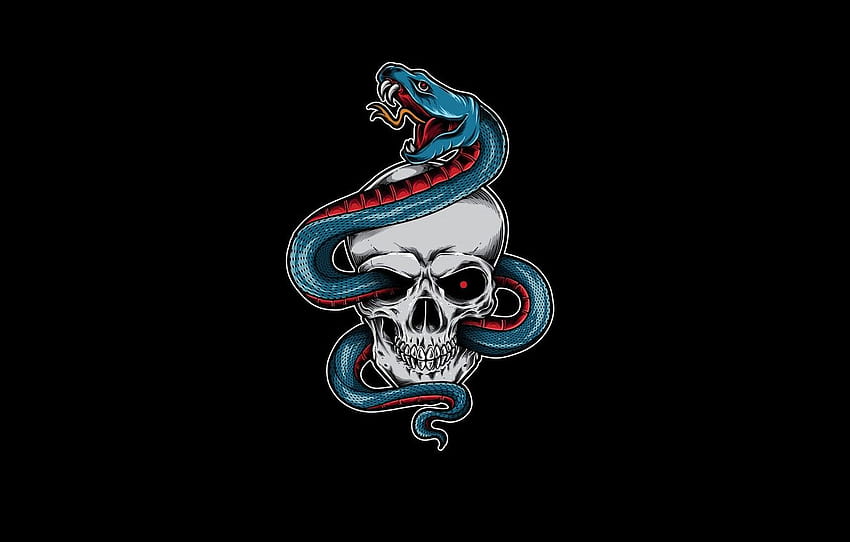 Skull and Snake, snake skull HD wallpaper