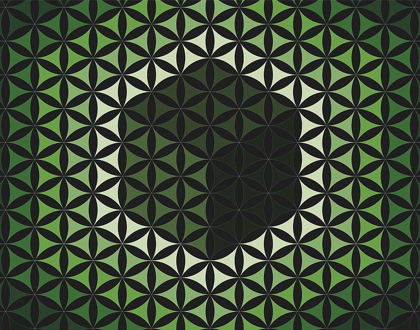 Sacred Geometry Flower Of Life Backgrounds Vector, geometric tree HD wallpaper