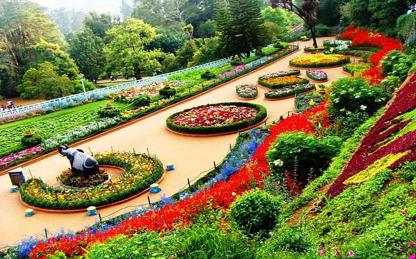 Botanical Garden on Dog, indian government HD wallpaper