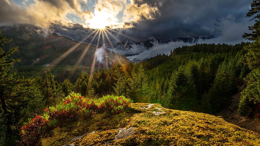 カスケード レンジの森と黒い曇り空の下で太陽光線と山の風景 高画質の壁紙