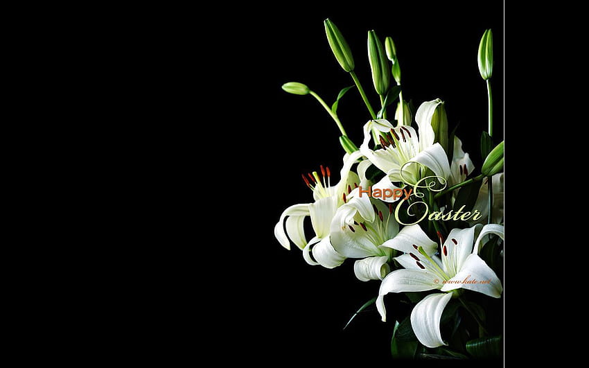 Easter Lily, easter flowers and bible HD wallpaper
