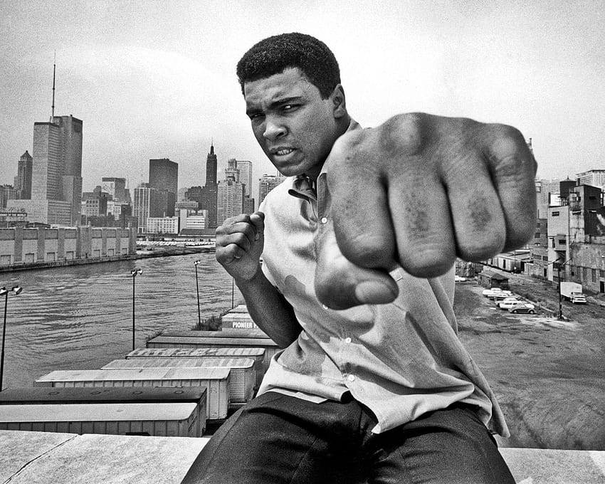 Muhammad Ali 10, Muhammed Ali Tapeta HD