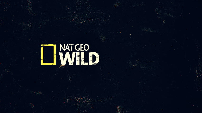 NAT GEO WILD Big Cat Week // Pakiet promocyjny na Behance, logo National Geographic Tapeta HD