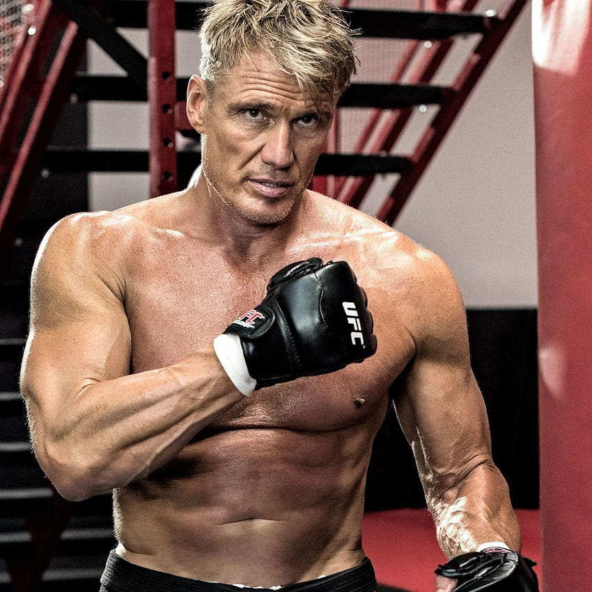 Обои бокс, актер, перчатки, груша, боец, режиссер, тренировка, Дольф, dolph lundgren HD phone wallpaper