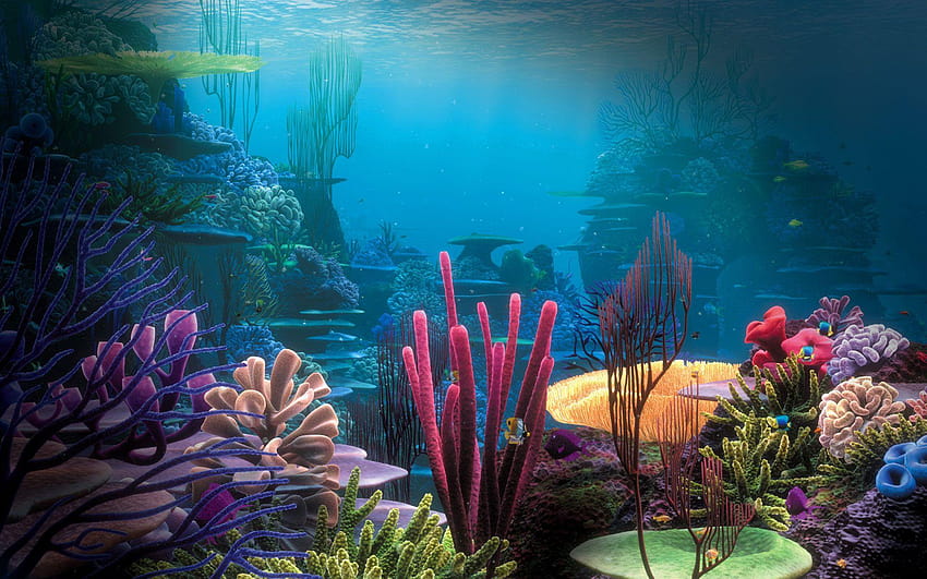 .wiki, aquarium fish HD wallpaper