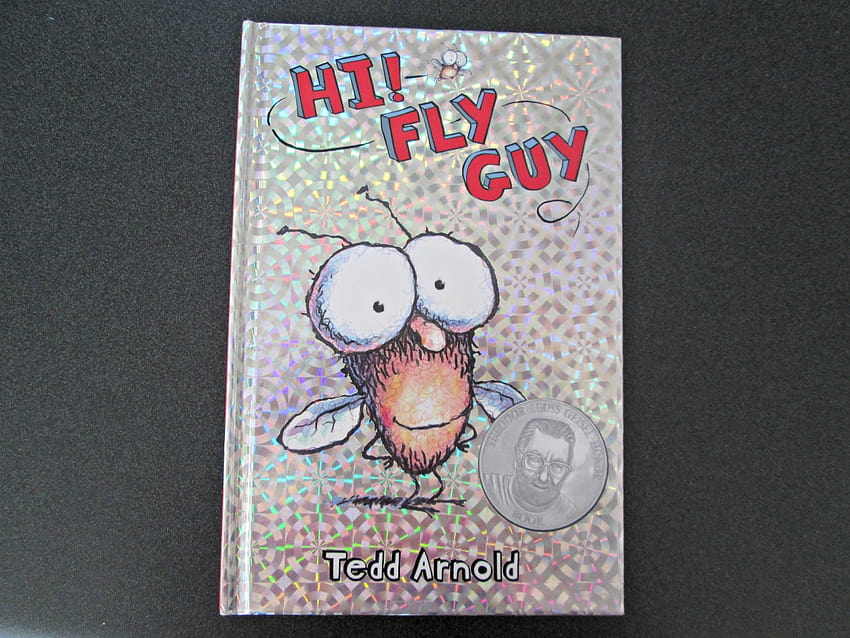 Amico e bambina: recensione di Baby Girl sui libri di Fly Guy Sfondo HD
