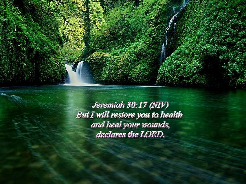 Scripture, early spring with bible verses HD wallpaper