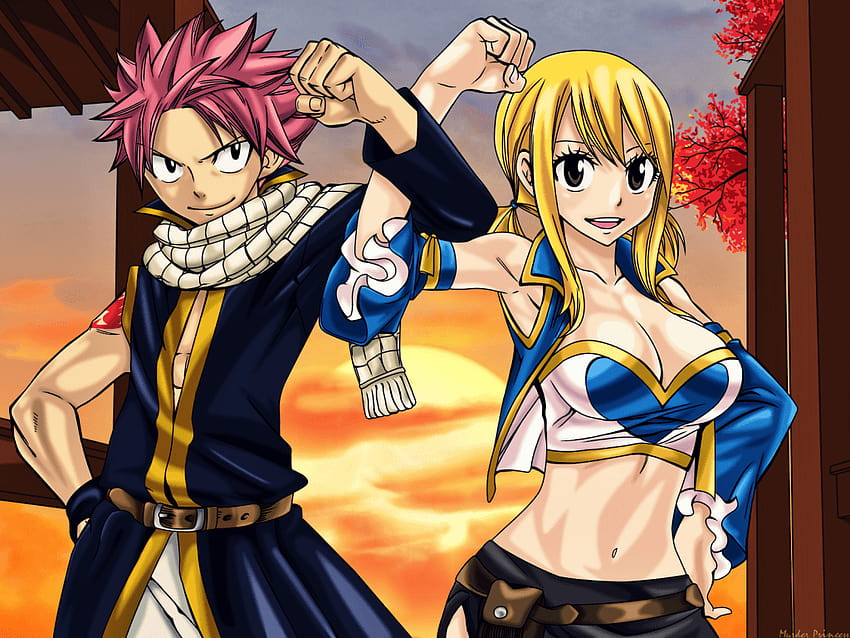 Fairy Tail Couples NaLuღೋ, fairy tail lucy and natsu HD wallpaper