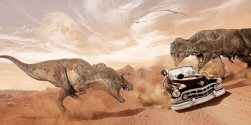 Cadillacs & Dinosaurs on Behance, cadillacs and dinosaurs HD wallpaper