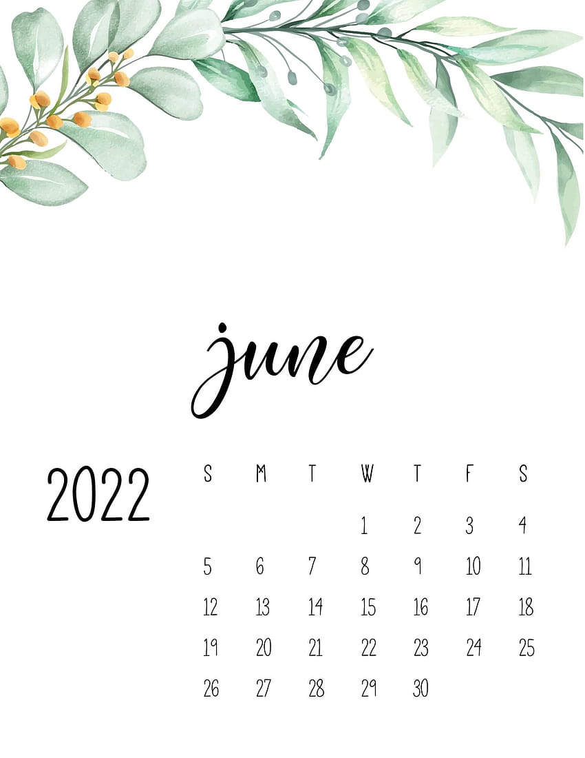귀여운 6월 달력 2022 어린이, 학생을 위한 꽃 인쇄용 템플릿 – Sams On Ovasha, 2022년 6월 달력 HD 전화 배경 화면
