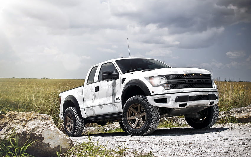 White Camo Ford Raptor White Camo [2560x1600] for your , Mobile & Tablet HD wallpaper