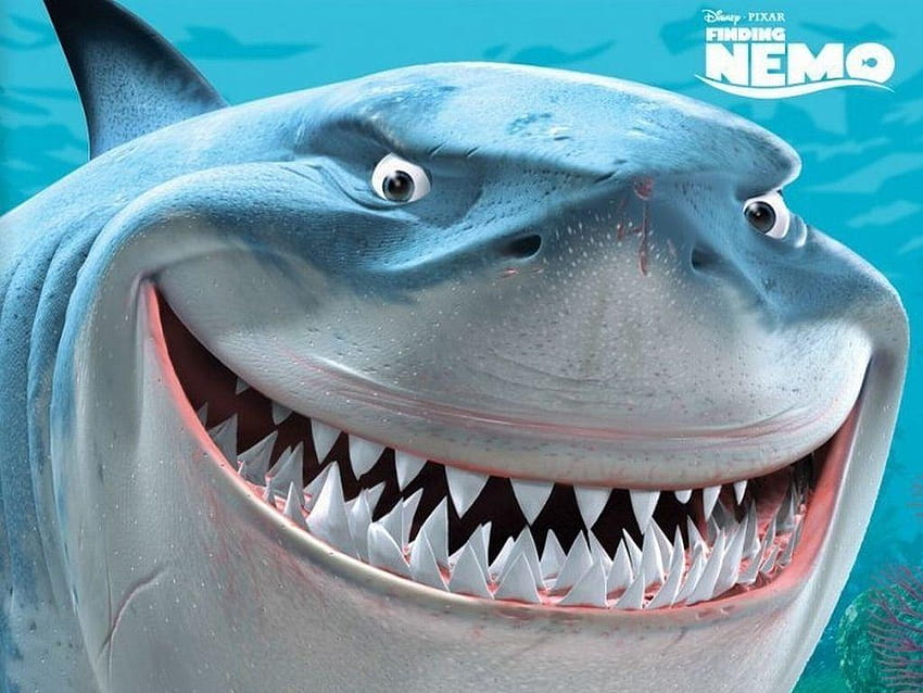 Finding Nemo, Bruce the Shark HD wallpaper