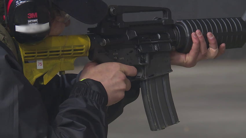 Zostać agentem: szkolenie w zakresie broni palnej Tapeta HD