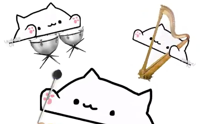 The Best Of Bongo Cats Hd Wallpaper Pxfuel 2047