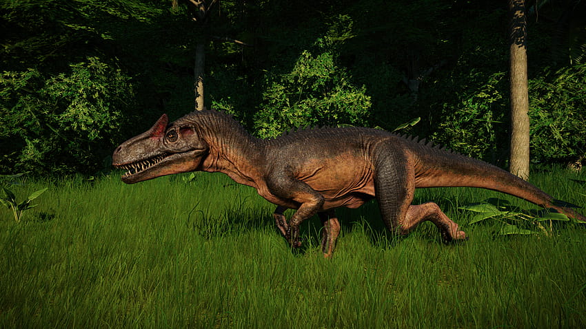 Allosaurus HD wallpaper | Pxfuel