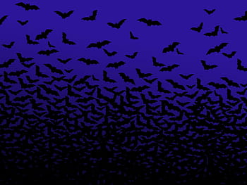 Dark Blue Halloween Wallpapers  Wallpaper Cave