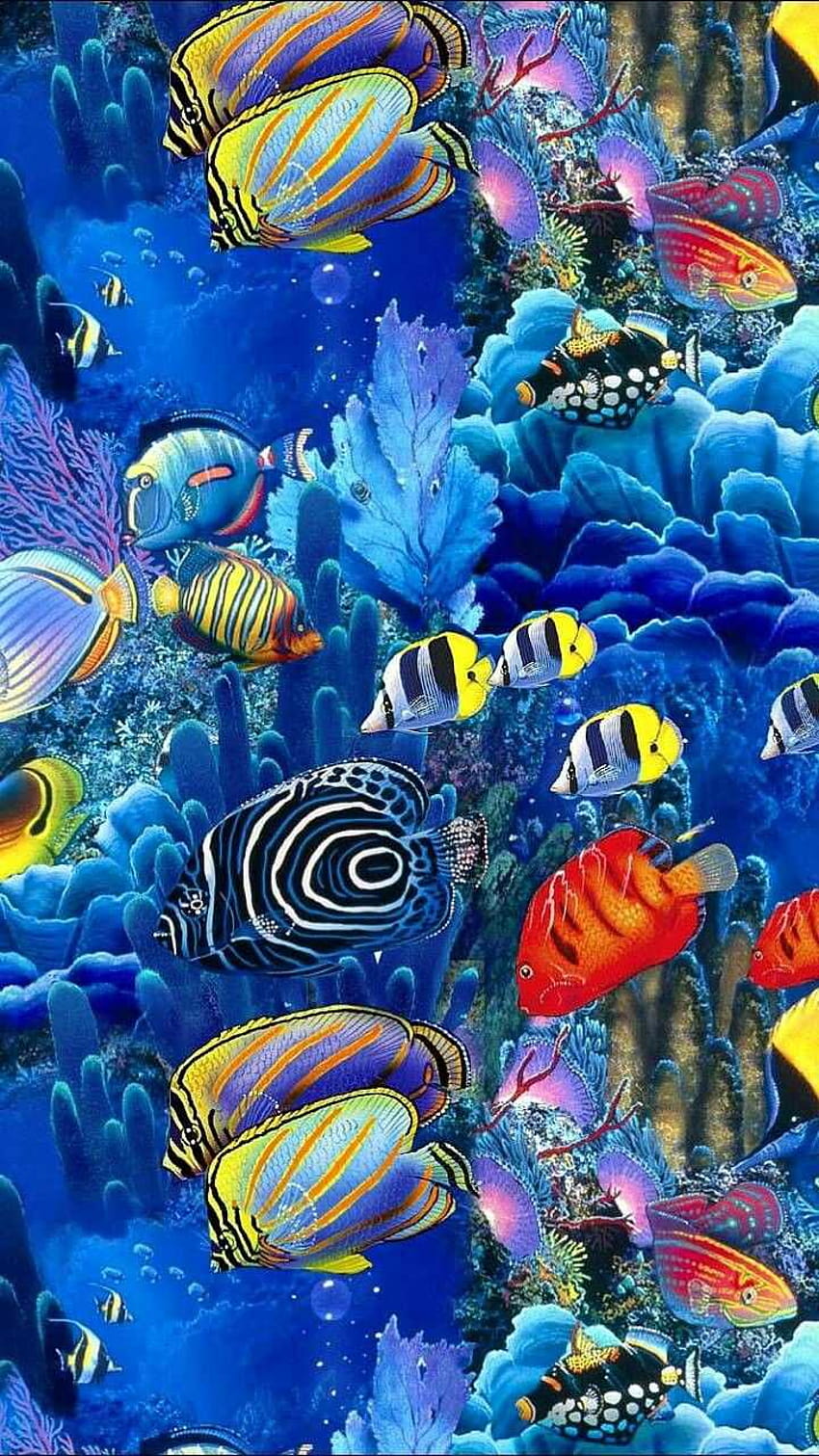 Blue Black Yellow fish under water Pacific Ocean Wallpaper HD Mobile,  Desktop Wallpaper