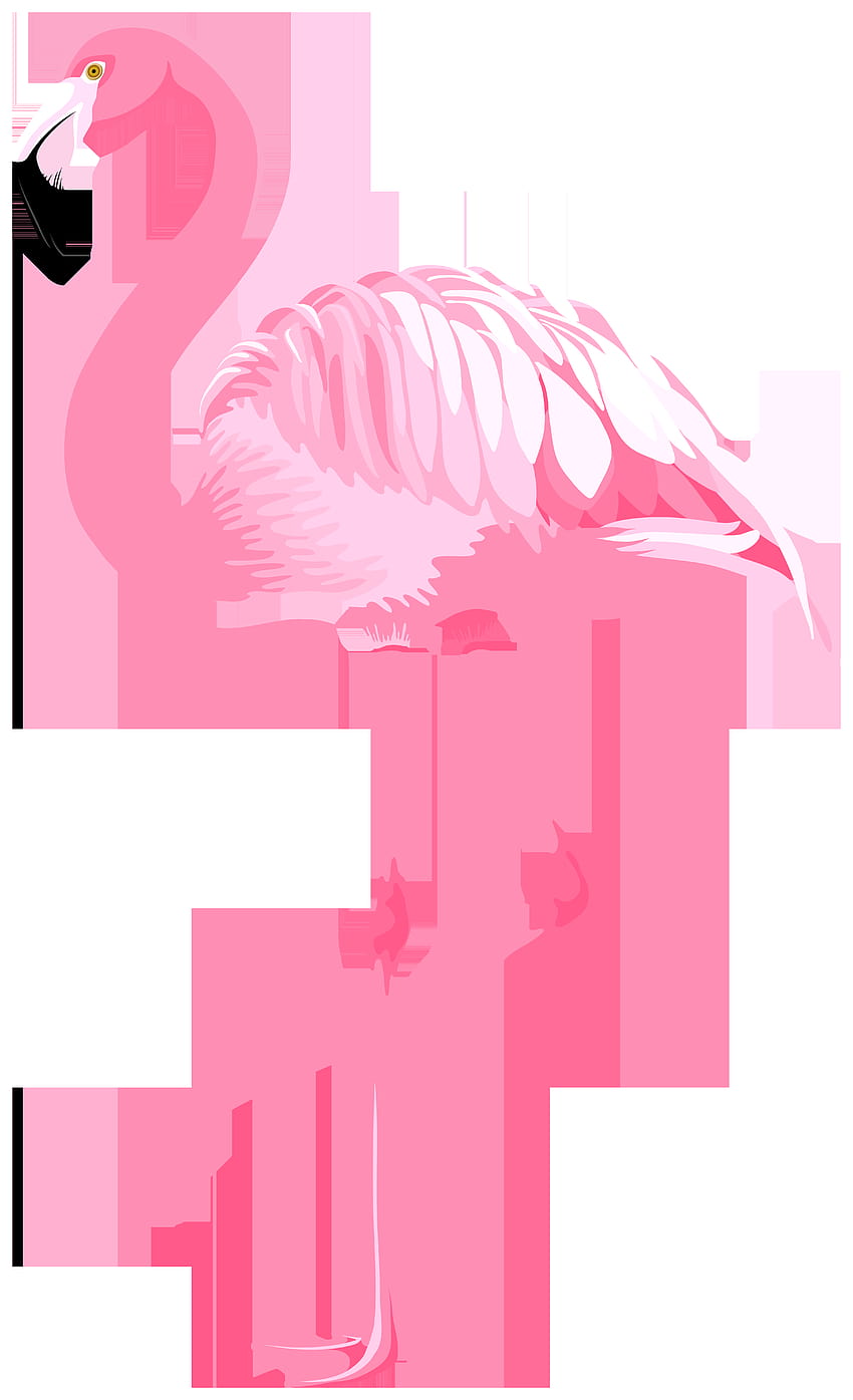 Pink Flamingo PNG Clipart, easter flamingos HD phone wallpaper