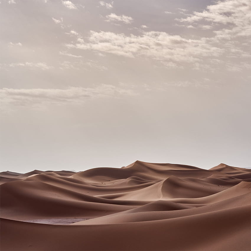 Melhor Desert iPad Pro [2020], deserto da Arábia Papel de parede de celular HD