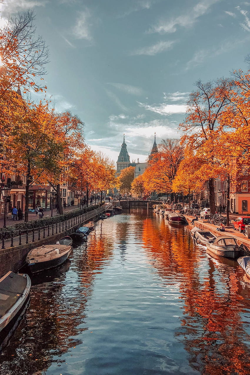 The most beautiful autumn landscapes around the world, amsterdam autumn HD phone wallpaper