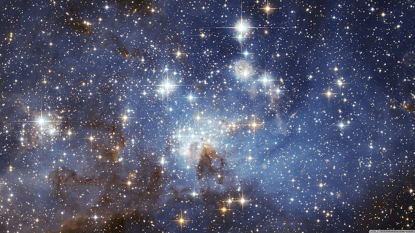 Bright Universe, bright star HD wallpaper