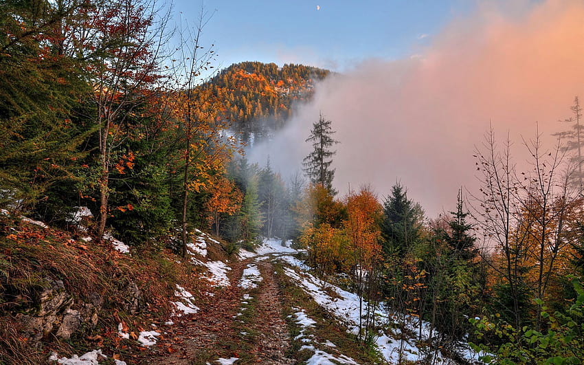 Autumn, mountain, footpath, snow, forest, trees, fog, dawn 2560x1600 , autumn snowfall HD wallpaper
