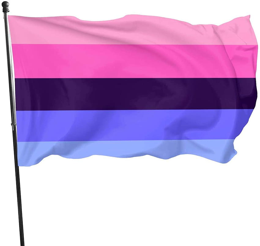 Amazon : MINIOZE Omnisexual Omni Sexual Pride Flag Themed Welcome Party Outdoor Outside Decorations Ornament Picks Home House Garden Yard Decor 3 X 5 Ft Jumbo Large Huge Flag : Garden & Outdoor, omisexual HD wallpaper