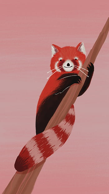 Red panda cartoon HD wallpapers | Pxfuel