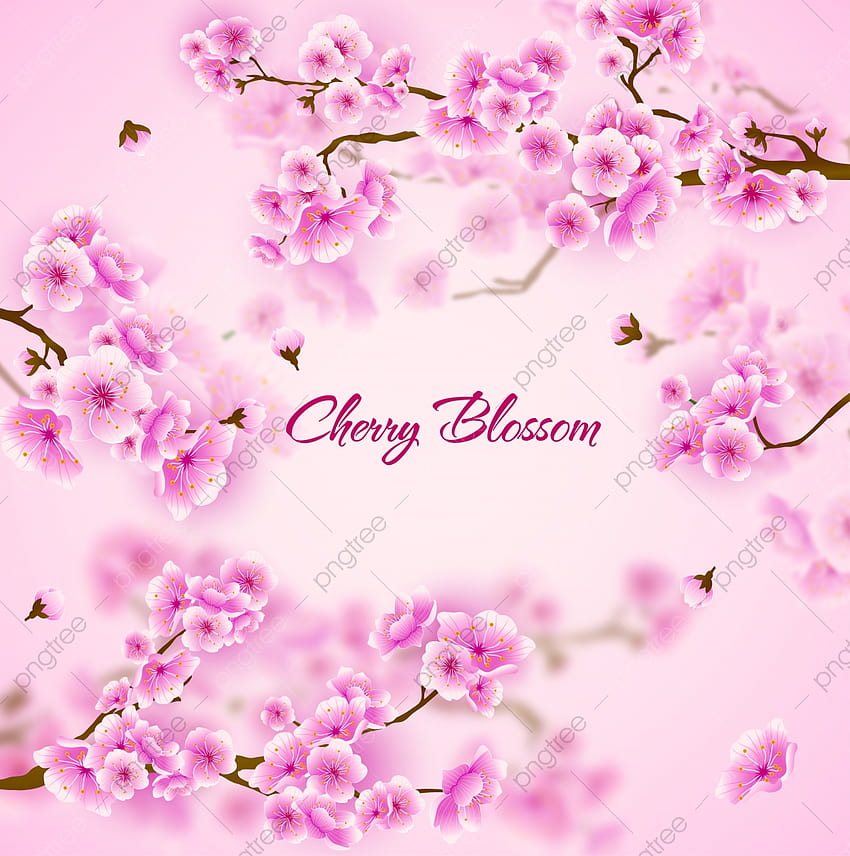Pink Cherry Blossom Sakura Floral Backgrounds Orchid Flowers Spring Festival, Wedding, Greeting, Roses Backgrounds for, cherry blossom flowers HD phone wallpaper
