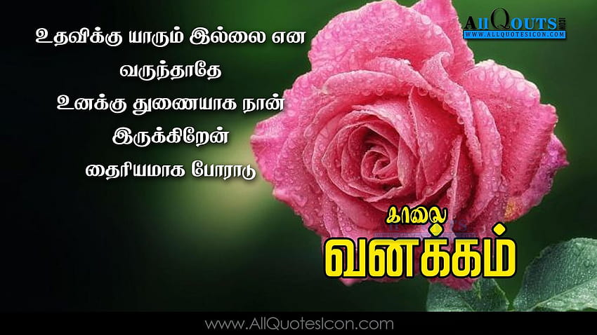 Happy+Wednesday+ +Best+Tamil+Good+Morning+Quotes+Greetings+, tamil ...