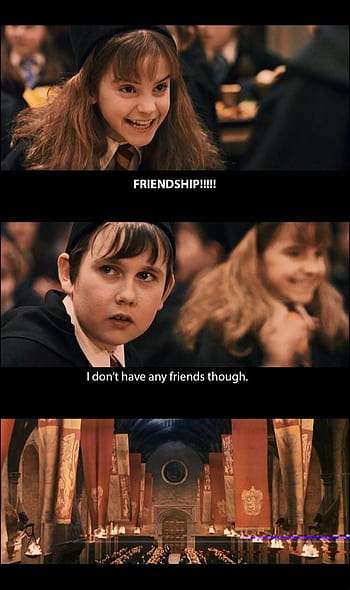 harry potter meme hermione