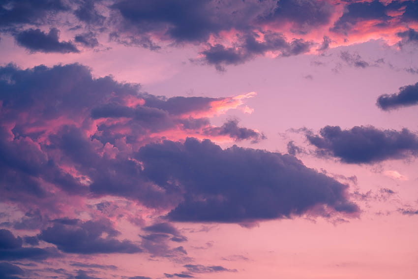 Purple Clouds, aesthetic pink clouds and sea HD wallpaper