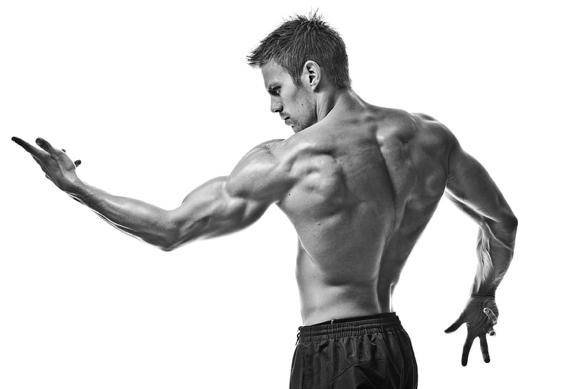 Best 4 Fitness on Hip, male fitness model HD wallpaper