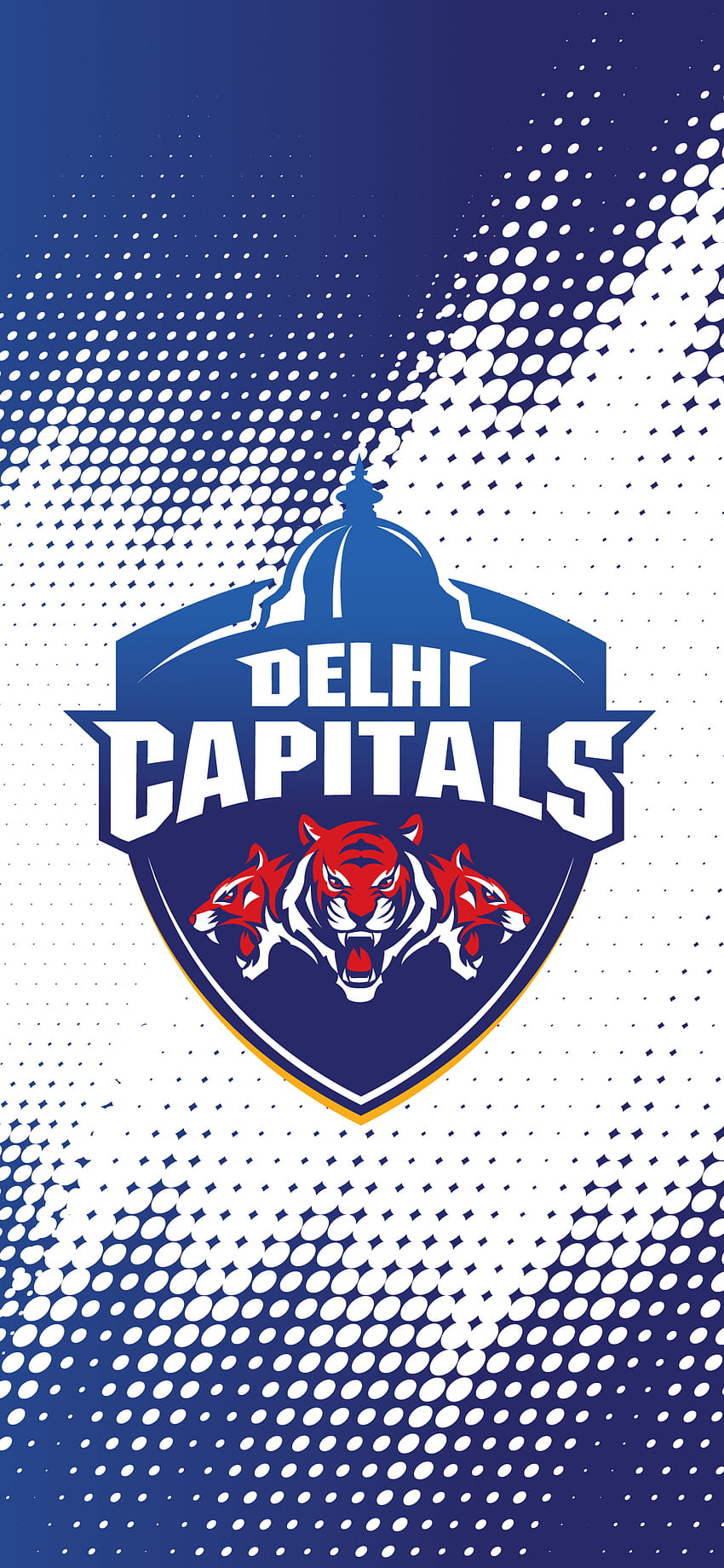 Delhi Capitals , Liga Utama India, IPL, IPL 2021, Kriket, , Olahraga wallpaper ponsel HD