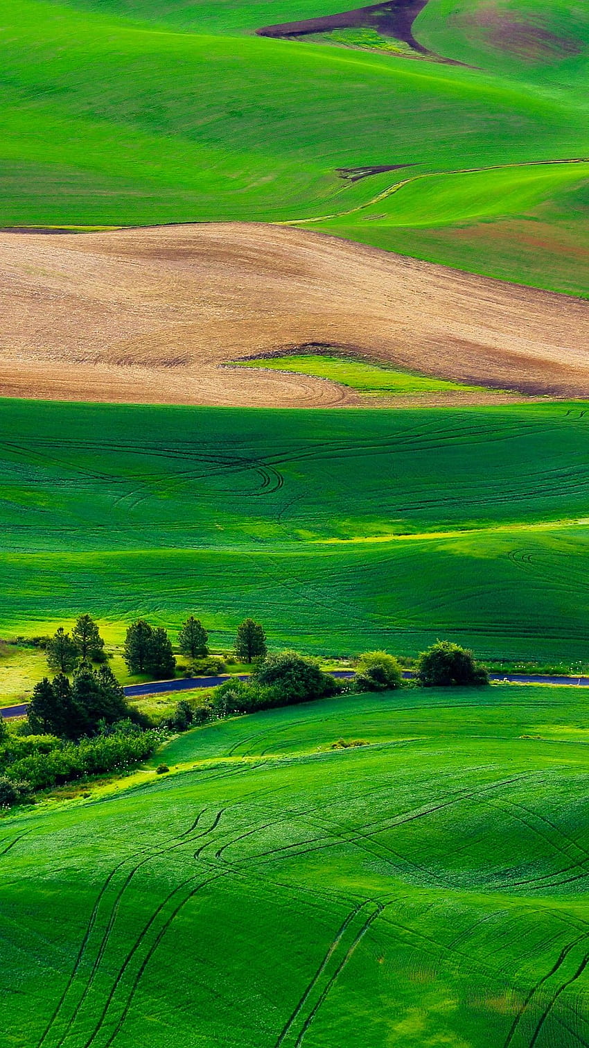Paisaje verde, , Naturaleza, paisaje verde móvil Android fondo de pantalla del teléfono