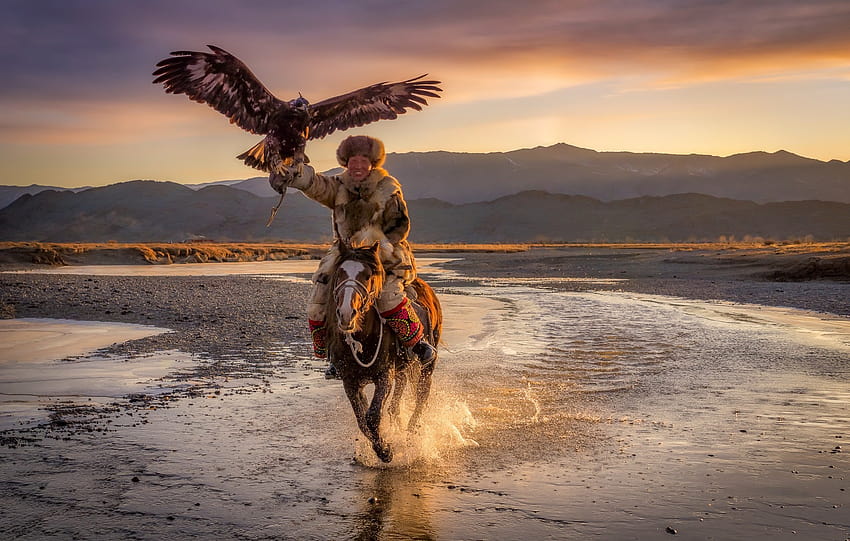 : Vögel, Männer, Pferd, Tiere, Säugetiere, Mongolei, draußen 2048x1304, mongolisch HD-Hintergrundbild