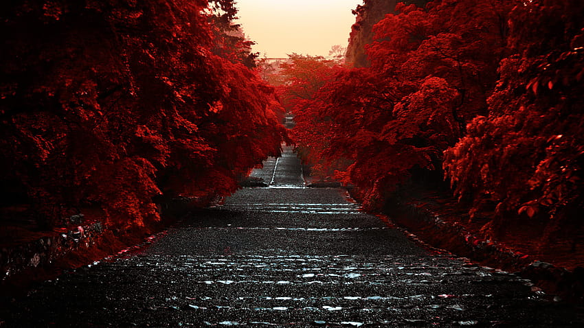 Japan, The Island Of Honshu, The Kansai Region, The, red japanese HD wallpaper